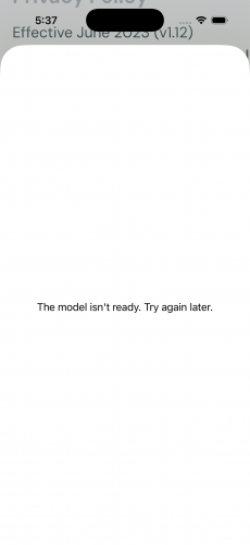 Model Not Ready View